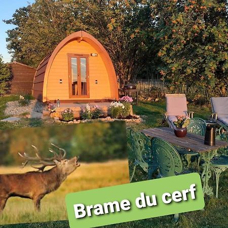 Готель La Cabane De Tic Et Tac Tailles Екстер'єр фото